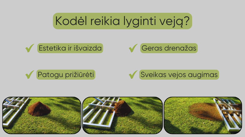 kodėl-reikia-lyginti-veją