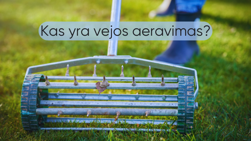 Kas-yra-vejos-aeravimas