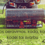 Vejos-aeravimas-kada-kaip-ir-kodėl-tai-svarbu