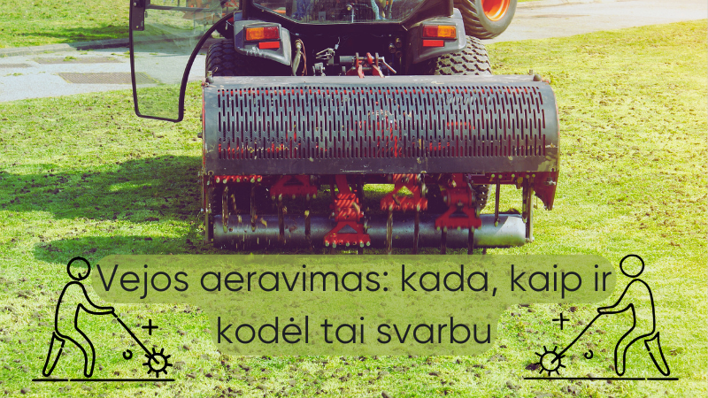 Vejos-aeravimas-kada-kaip-ir-kodėl-tai-svarbu